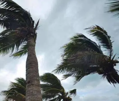 QQ截圖20210303141652